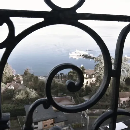 Daire Avec Vue 180 Sur Le Leman